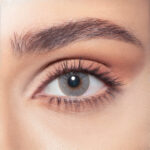 Bluish Gray - Image 2