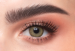 Olive #P7 - Image 2