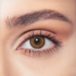 Almond Brown - Image 2