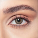 Almond Gray - Image 2