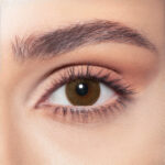 Brown Shadow - Image 2