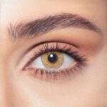 Hazel Beige - Image 2